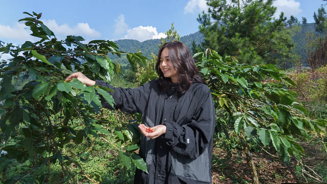 Siang Coffee Trip